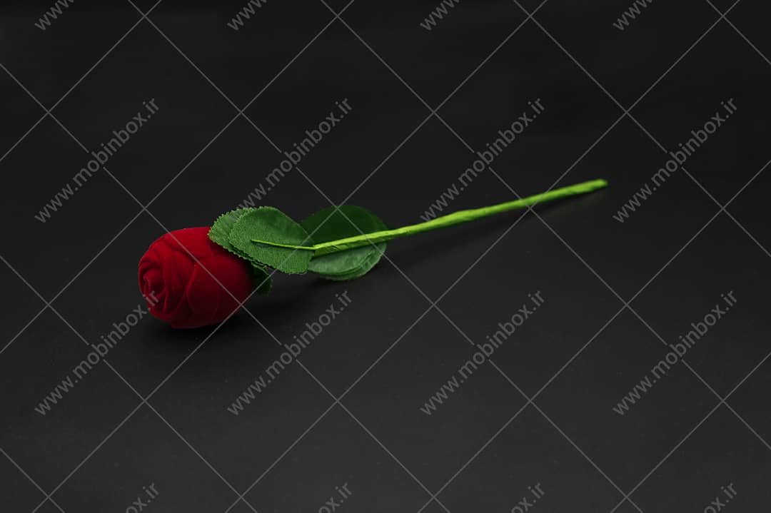 26d3af0b-f0c7-4a11-87ac-4e69259efde0